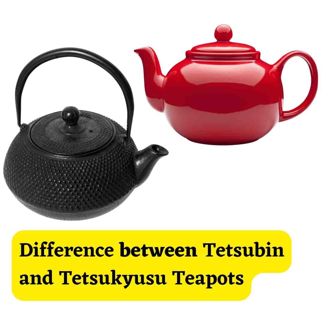 The picture shows difference between Tetsubin vs kyusu teapots - Japanese Cast Iron Teapots