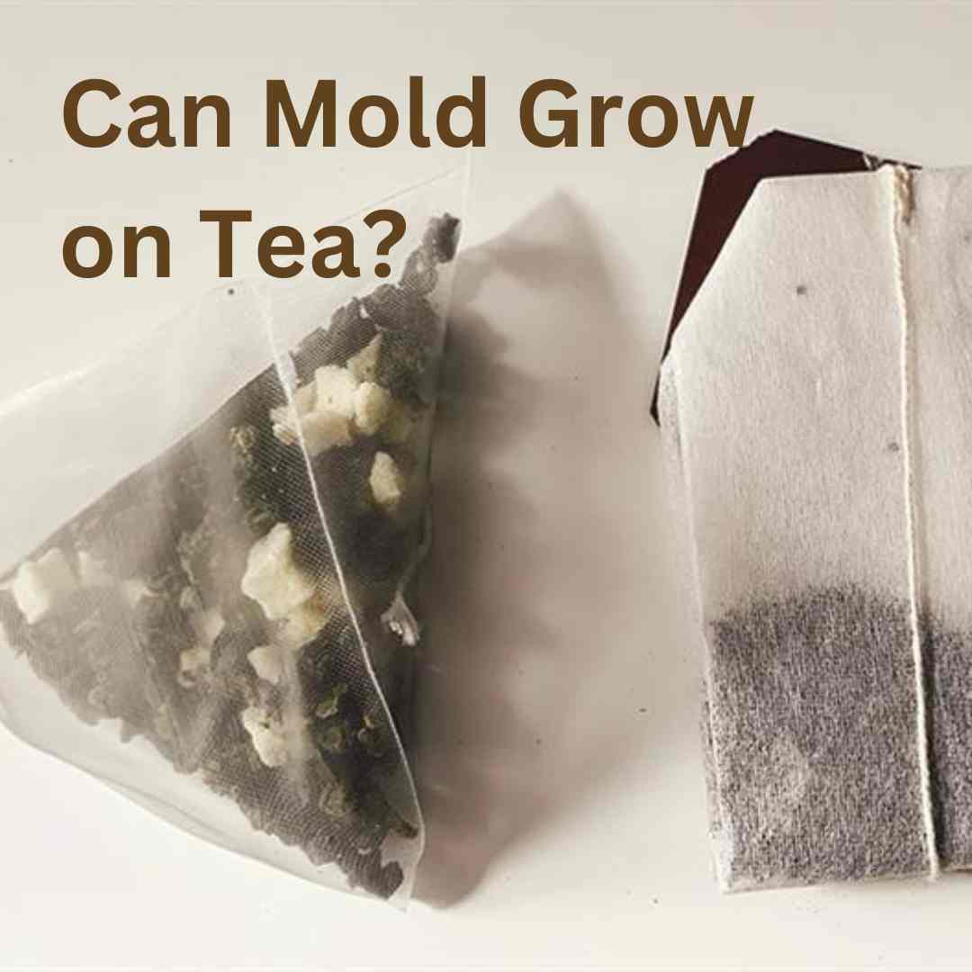 mold on tea