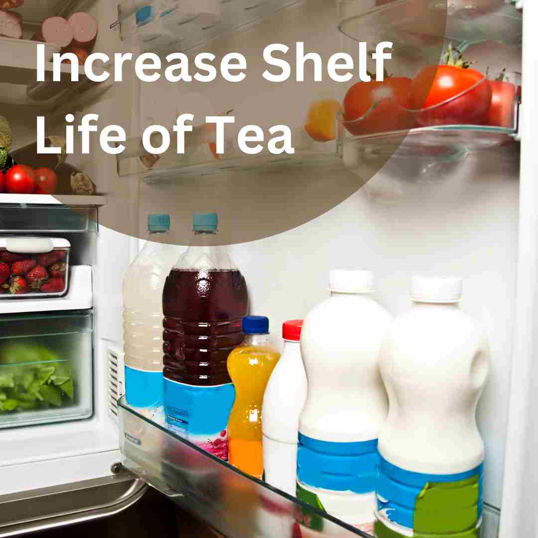 Does Tea Need to be Refrigerated? Here's How to Store Brewed Tea for Maximum Freshness