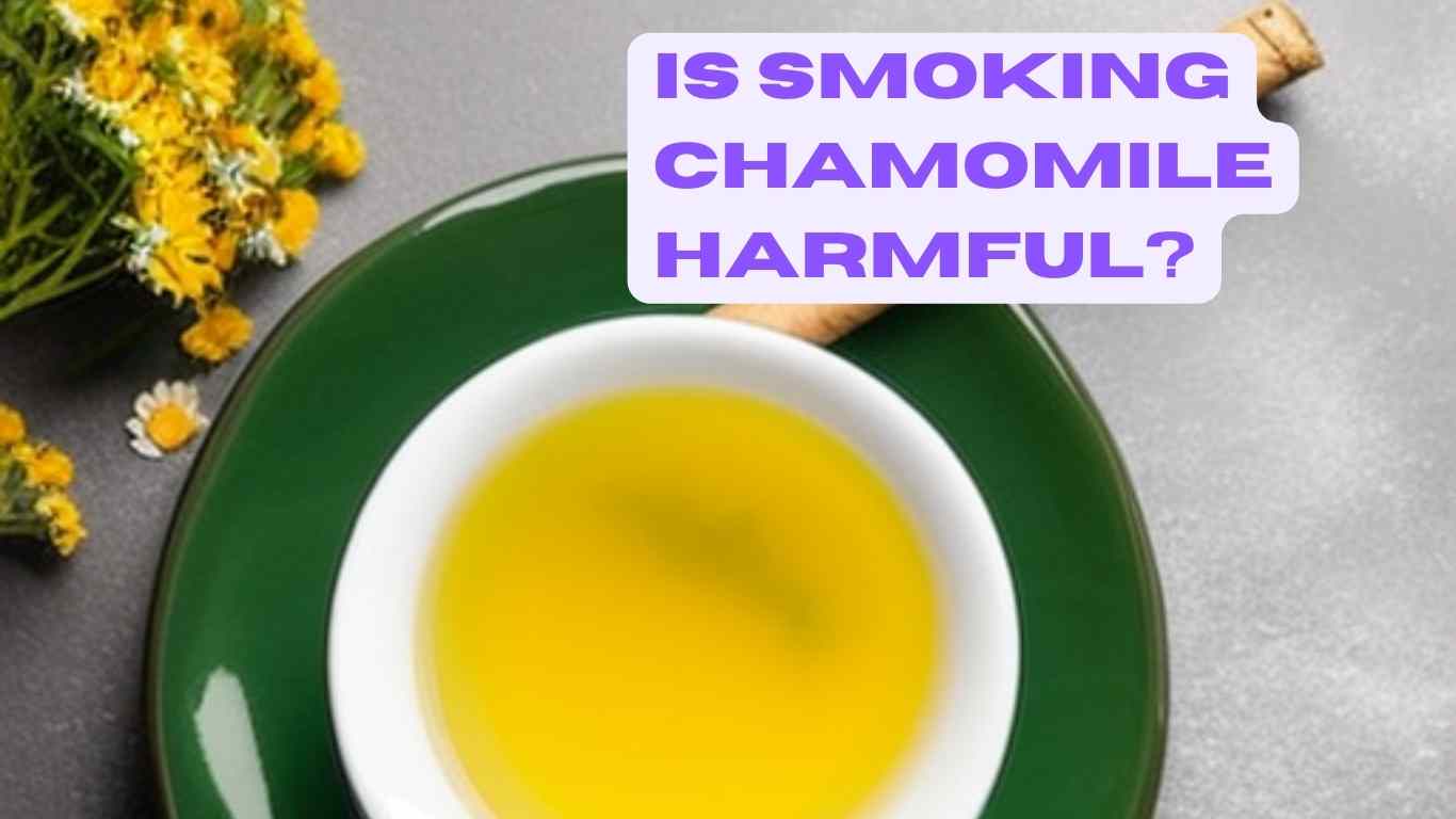 is it safe to smoke chamomile